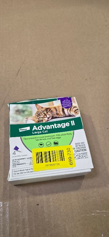 Photo 1 of Advantage II Large Cat Vet-Recommended Flea Treatment & Prevention | Cats Over 9 lbs. | 4-Month Supply