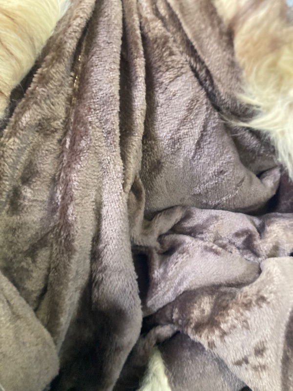 View 5 of GEMBED Fluffy Faux Fur Throw Blanket – Super Soft Warm Thick Plush Blanket for Bed, Couch & Office, Cozy Fuzzy Throw with Flannel Backing,90"x90", Brown
