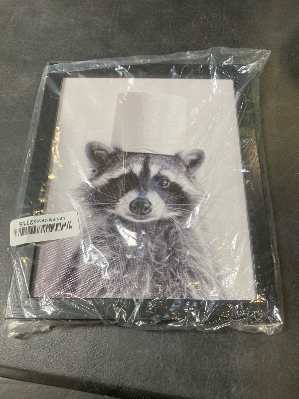 Photo 1 of Funny Raccoon Framed Wall Art in Toilet,Black and White Toilet Paper Raccoon Canvas Wall Art Prints Farmhouse Bathroom Decor,Humor Animals Bathroom Painting Canvas Rustic Style Artwork(
