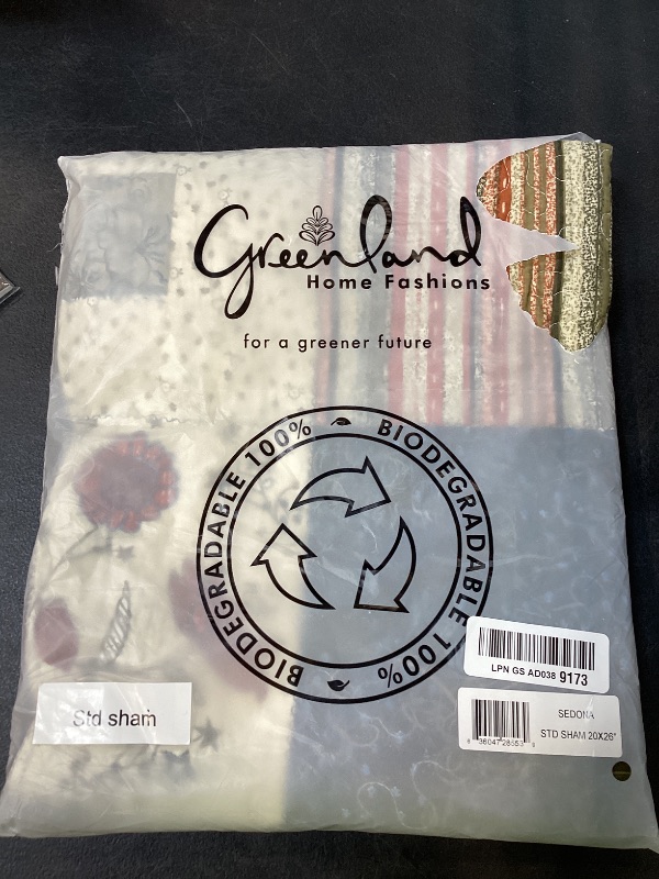 Photo 1 of Greenland Sedona Standard Sham, Multicolor