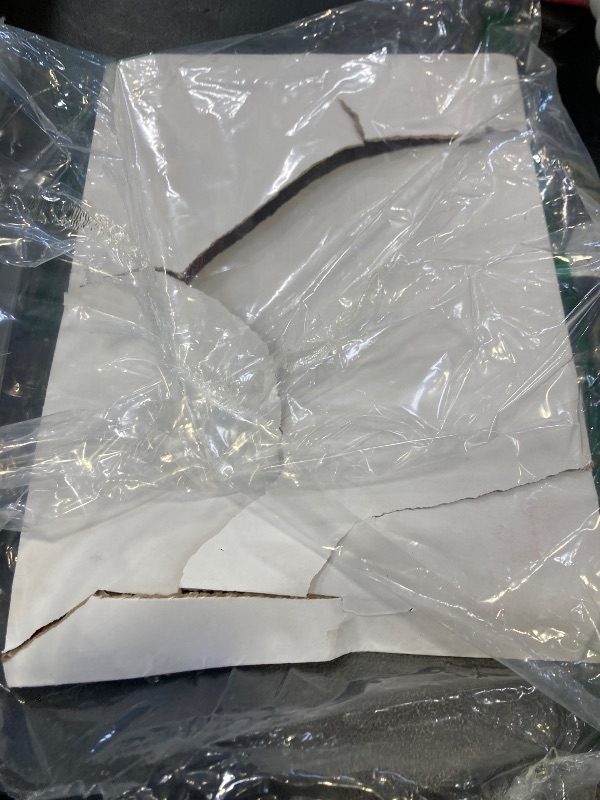 Photo 1 of 36 inch clear balloons- count unknown