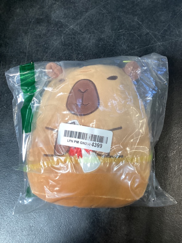 Photo 1 of FVNPIHAM Graduation Capybara Plush Toy, 8 Inch Capybara Stuffed Animal with Cap Graduation Gifts for Kids Him Her, Class of 2026 Graduation Gifts for Kindergarten High School College