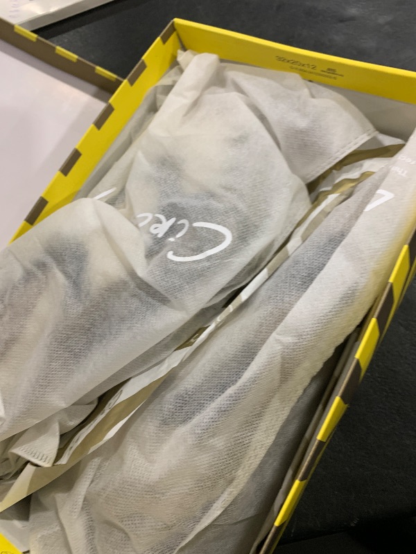 Photo 1 of Circus NY by Sam Edelman Women's Nash Sneaker, Light Natural/Black/Tuscan Taupe, 12