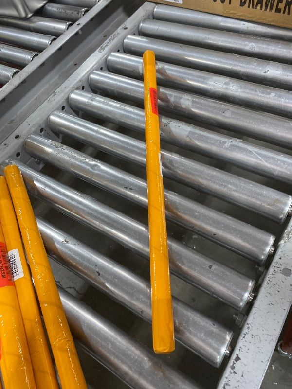 Photo 1 of Wensuns Austin Natural Poster 24x 36 in 