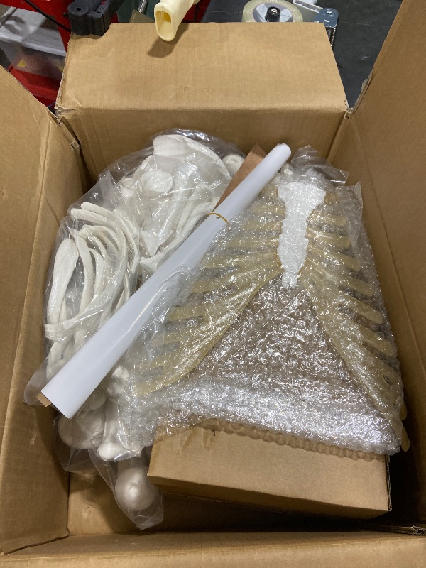 Photo 1 of Evotech Disarticulated Human Skeleton Model For Anatomy 67 inch High, Full Size Skeleton Models with Skull, Spine, Bones, Articulated Hand & Foot, for Anatomy Medical Learning