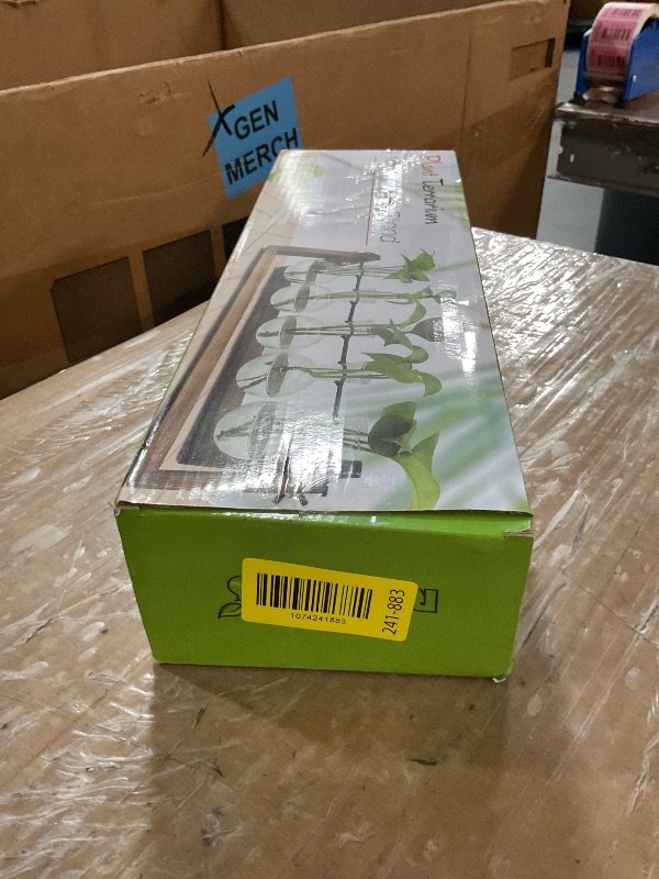 Photo 1 of ***MISSING PARTS***
Renmxj Plant Propagation Station, Propagation Vases for Plants, Unique Gardening Birthday Gifts for Women Plant Lovers Mom Best Friend - 5 Bulb Glass Vases