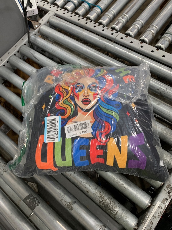 Photo 1 of "PROTECT THE QUEENS" PILLOW