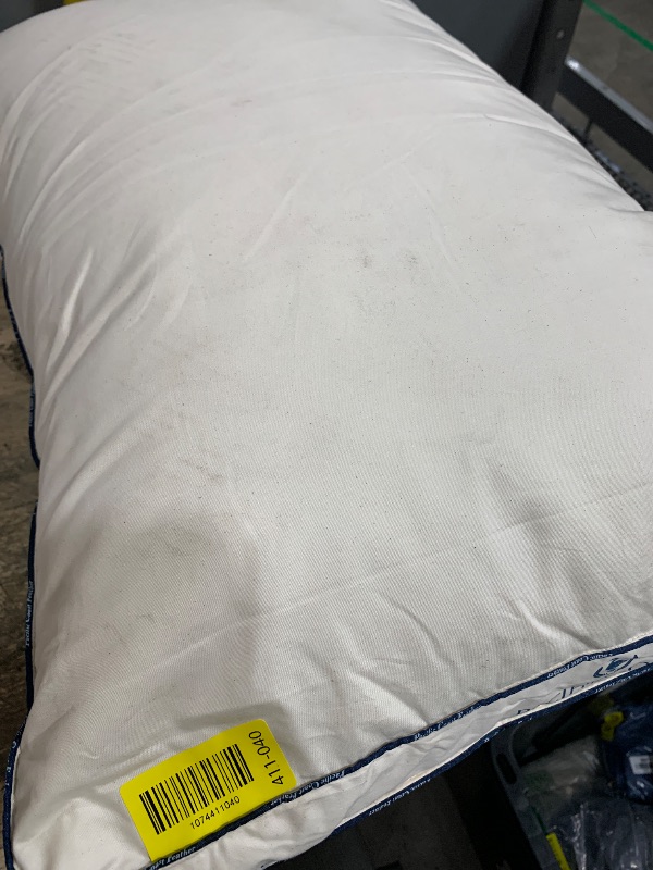 Photo 1 of (see all images) pacific coast pillow
