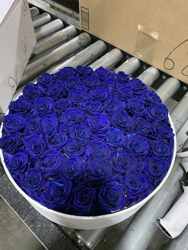 Photo 1 of 50 Piece Roses in a Velvet Box, Flowers for Delivery, Presereved Flowers Birthday Gifts for Women Mom and Wife (Royal Blue)