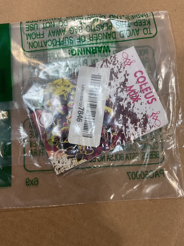 Photo 1 of 22Day Seeds: Seeds Coleus Exotic Mix/Perennial Flowers