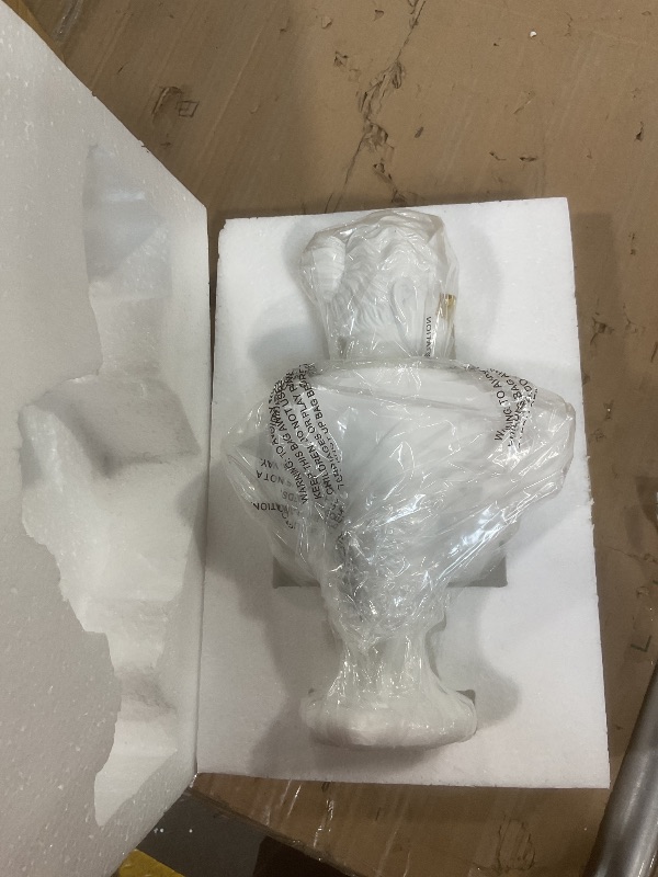 Photo 1 of 14" Classic Greek White David Man Bust Statue, Large Resin Roman Goddess Sculpture Figurine for Home Décor (Anna Mask White)