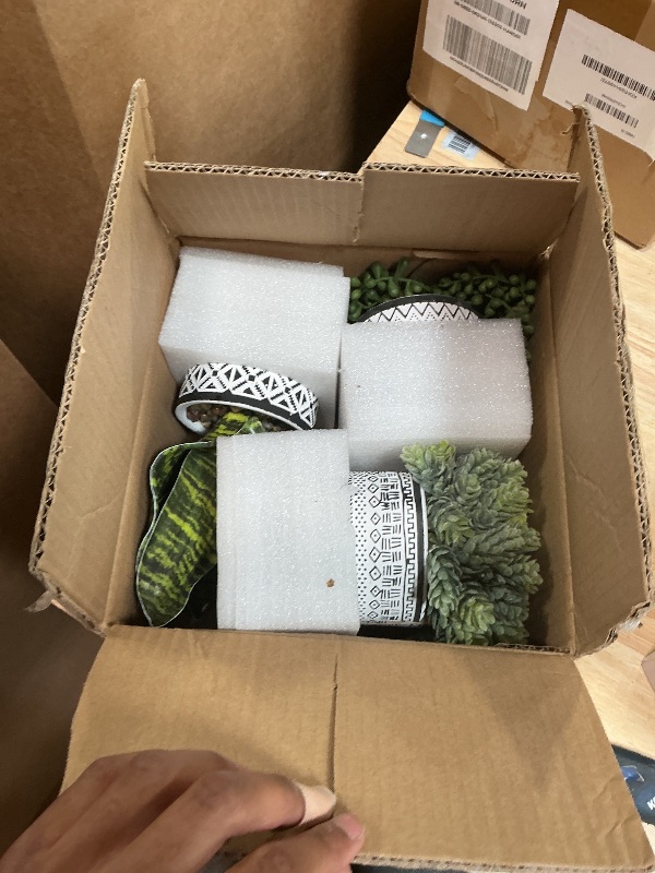 Photo 1 of *** 1 OF THE STEMS IS BROKEN*** Winlyn 3 Pcs Small Potted Plants Artificial Succulents Hanging Plants and Faux Tropical Snake Plant in Black Geometric Pots for Modern Home Kitchen Windowsill Table Shelf Indoor Outdoor Greenery Decor
