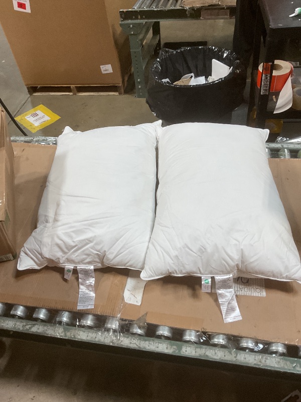 Photo 1 of 2 goose feather/down pillows