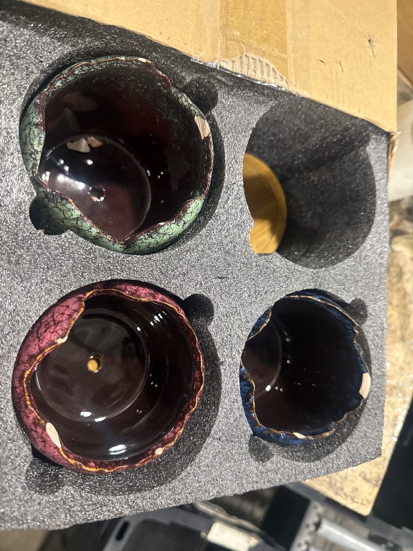 Photo 1 of ***SEE NOTES***Simcat Succulent Pots with Drainage Half Dragon Egg Shell Design Sets 4 PCS