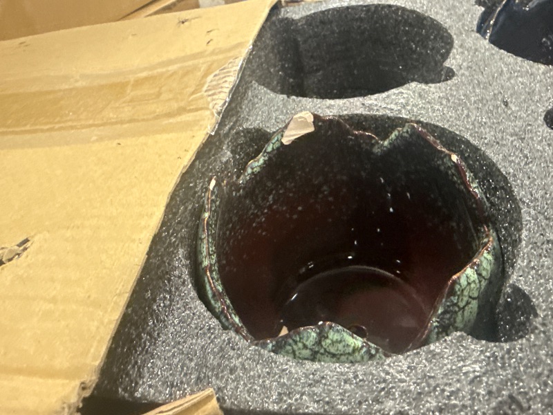 Photo 1 of ***SEE NOTES***Simcat Succulent Pots with Drainage Half Dragon Egg Shell Design Sets 4 PCS