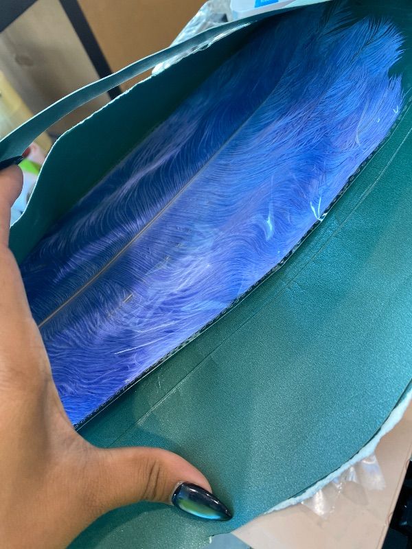 Photo 1 of ** blue**
THARAHT Baby Blue Ostrich Feathers 12pcs Large Natural Bulk 12-14Inch 30cm-35cm for Wedding Party Centerpieces Easter Gatsbi and Home Decoration Feathers