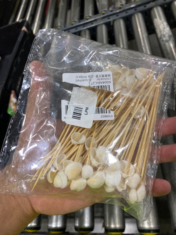 Photo 1 of 100 Pcs White Seashells Cocktail Seashell Long Toothpicks For Appetizers Cocktail Toothpicks For Drinks Appetizer Skewers Party Toothpicks For Appetizers 4.7 Inch Seashell Cocktail Toothpicks