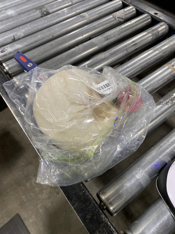 Photo 1 of wynameleri Creative Skull Decor Rose Flowers Skeleton Head Sculpture 8.1'' Human Statue Collectible Halloween Decoration Home Decoration SKL20