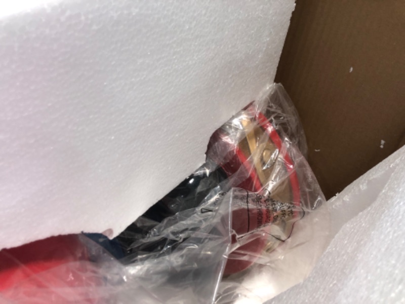 Photo 1 of **FACE IS DAMAGED** Fraser Nutcracker