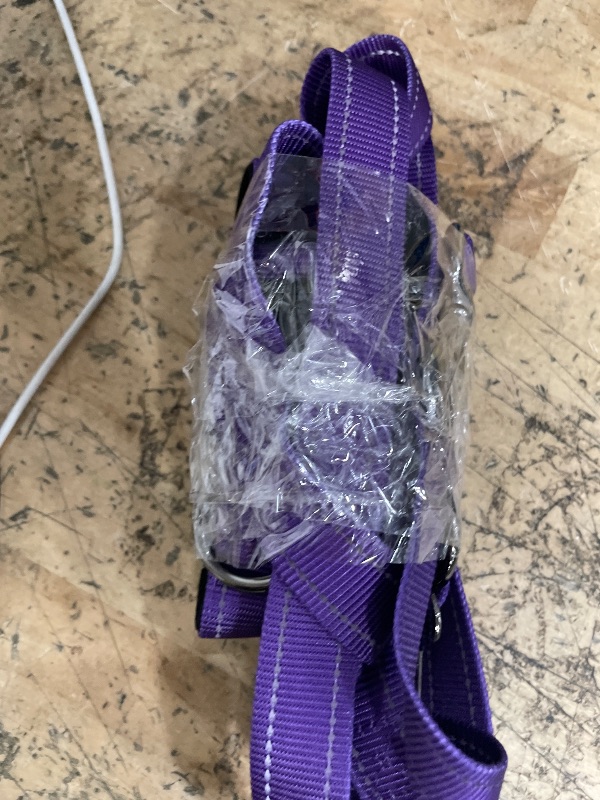 Photo 1 of dog leash