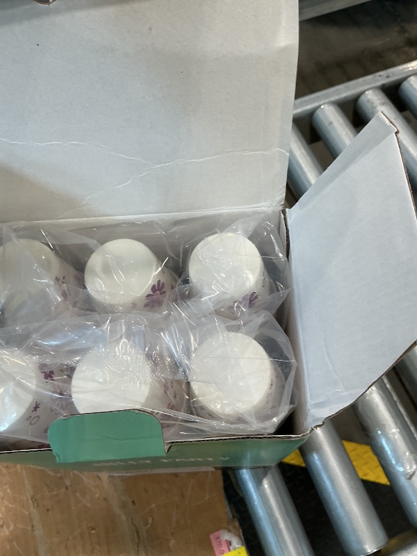 Photo 1 of [600 Pack] 3oz Disposable Bathroom Cups, Paper Mouthwash Cups, Cold Disposable Drinking Cup for Party, Picnic, BBQ, Travel, and Event, Purple Floral