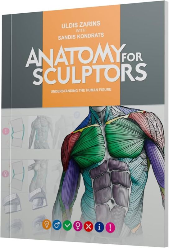 Photo 1 of  Anatomy For Sculptors, Understanding the Human Figure: