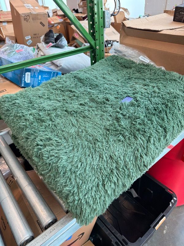 View 2 of [Heavily used and dusty] DweIke Fluffy Dark Green Rugs for Bedroom Living Room, 8x10 Large Soft Plush Shaggy Forest Hunter Green Girls Boys Kids Rug, Non-Slip and Machine Washable Carpet for Dorm Nursery Classroom Decor