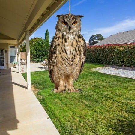 Photo 1 of 12 Realistic Owl Statue for Indoor & Outdoor Decoration Effective Birds Deterrent for Garden Patio Yard and Home Decor Suitable for Spring Decor