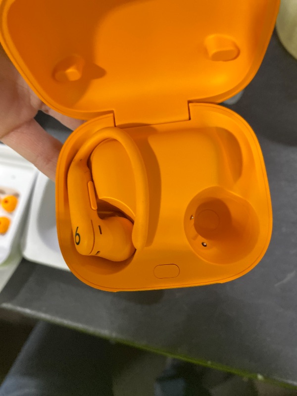 Photo 1 of Beats Powerbeats Pro 2 Wireless Earbuds
