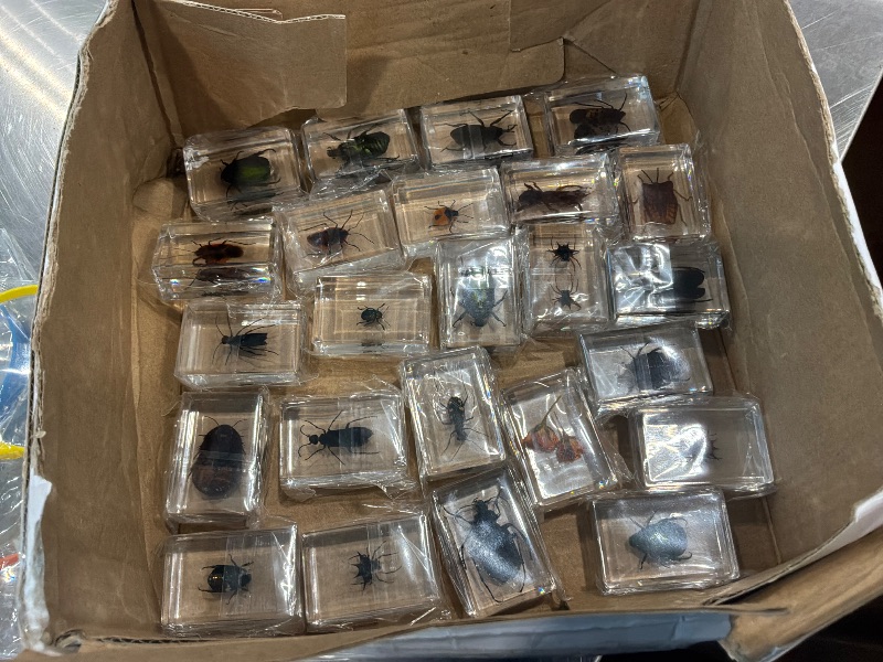 Photo 1 of [Missing Bugs, only 24, see live photos] Lineshading 70 Pcs Insect in Resin Specimen with 7 Magnifying Glass Various Bugs Collection Paperweights Bug Kit Preserved in Resin for Kids Scientific Educational Classroom Display Collection