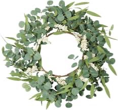 Photo 1 of  Artificial Eucalyptus Wreath for Front Door 21 Inch with Greenery Leaves Green White Berries Silk Dollar Leaves for Spring Summer Farmhouse Window Porch Wall Home Indoor Outdoor Decor