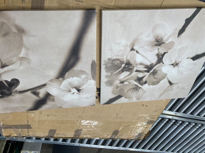 Photo 1 of **ONE HAS TEAR***IKEA WALL DECOR 2 PIECE 22X22 EACH