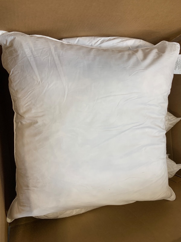 Photo 1 of 4pcs pillow inserts