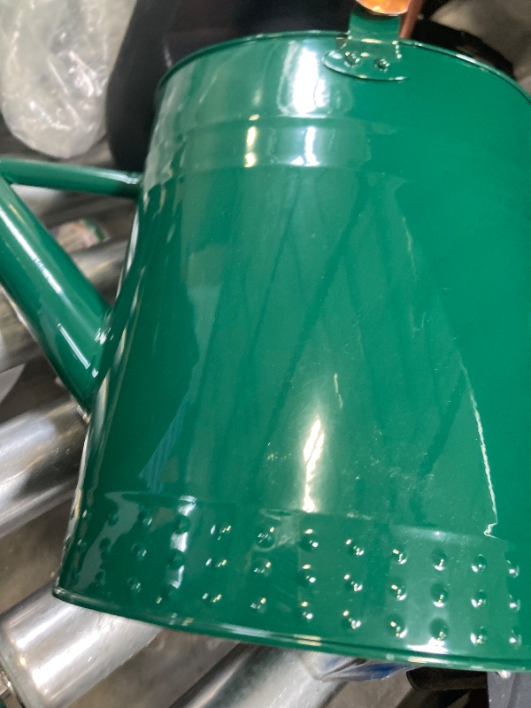 Photo 1 of Megawodar 1 Gallon Metal Watering Can with Removable Spout, Nice Galvanized Steel Water Can with Embossed Design for Indoor and Outdoor Plants