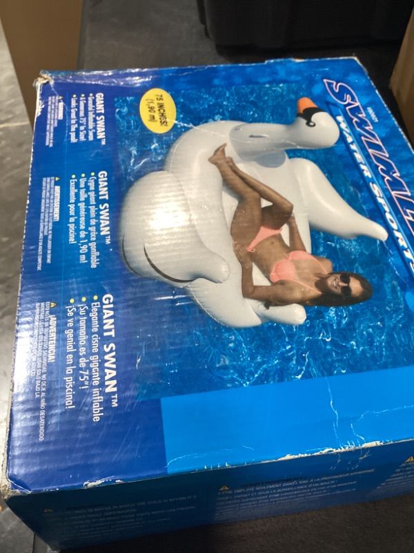 Photo 1 of International Leisure Inflatable Swan
