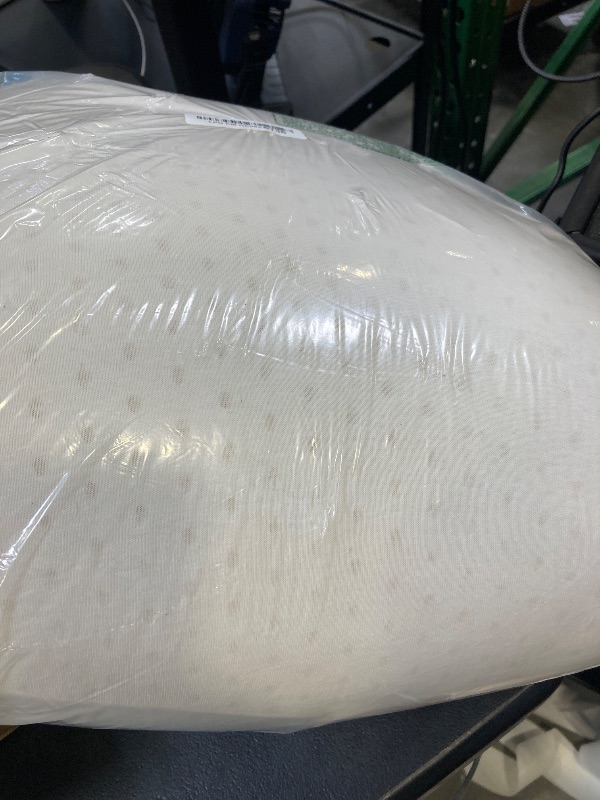 Photo 1 of 100% Natural Talalay Latex Pillow Sleeping Bed Pillows, Extra Soft Luxury Queen Pillow, Perfectly Aligns for Side/Back Pain, Stomach, Neck, Removable Breathable Cotton Cover (1, Queen (Mid Loft))