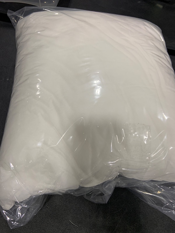 Photo 1 of Insert Pillow