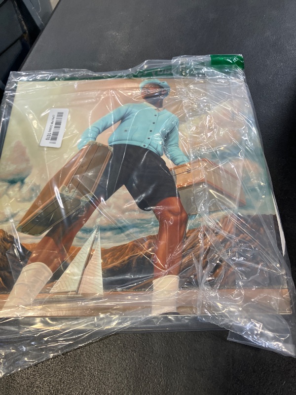 Photo 1 of Tyler The Creator, CALL ME IF YOU GET LOST: The Estate Sale