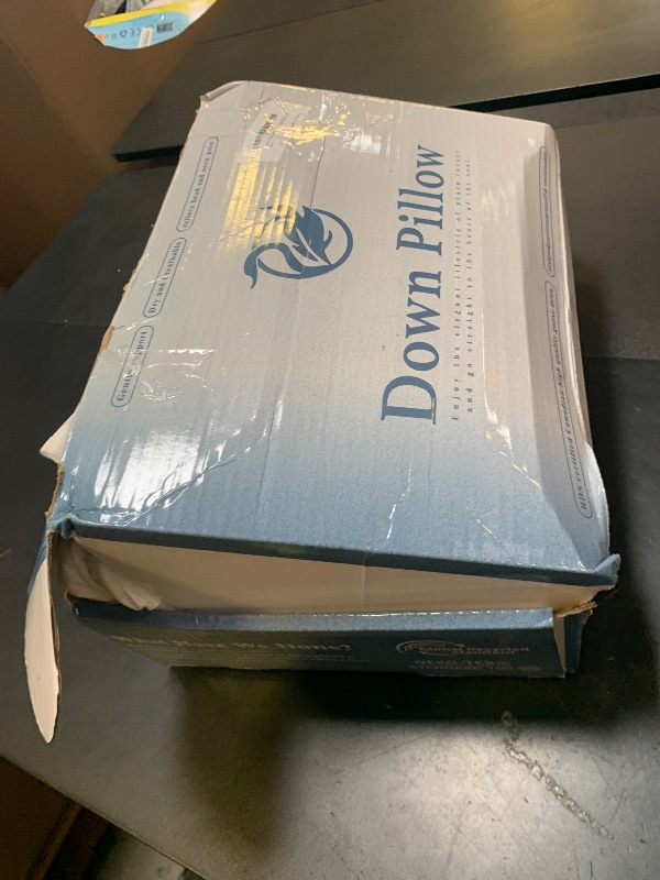 Photo 1 of Canadian White Goose Down Pillow King Size 1050 Fill Power 80% Goose Down 20% Goose Feather Down Pillows With 600TC 100% Cotton Pillow Shell Ideal for Plush Comfort and Support (20"X36", Set of 1)