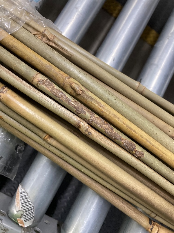 Photo 1 of *Minor damage* 55 Pcs Bamboo Plant Stakes 6 Feet, Oltara Natural Bamboo Sticks Garden Stakes for Climbing Plants Support, Potted Plants, Vegetables,Tomatoes, Beans, Flowers, Trees