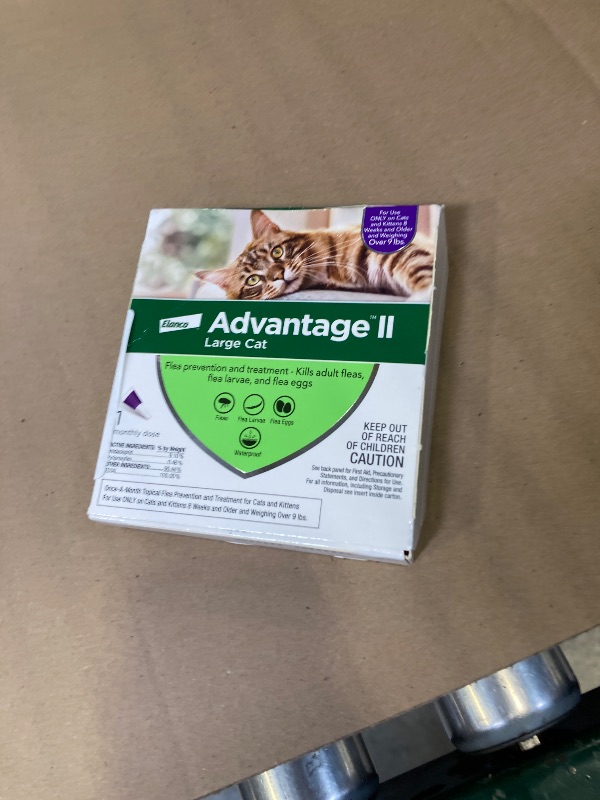 Photo 1 of Advantage II Large Cat Vet-Recommended Flea Treatment & Prevention | Cats Over 9 lbs. | 1-Month Supply
