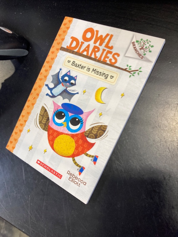 Photo 1 of Owl Diaries #6: Baxter is Missing