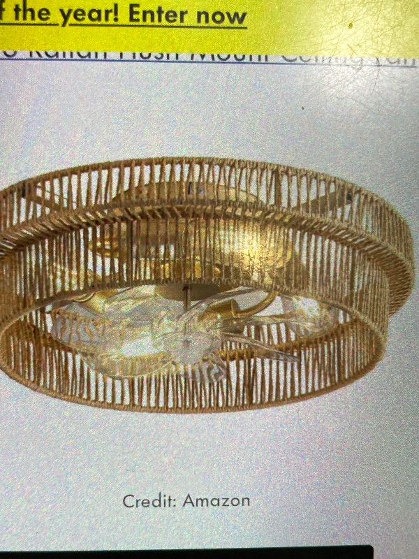 Photo 1 of sydacg gold caged ceiling fan light
