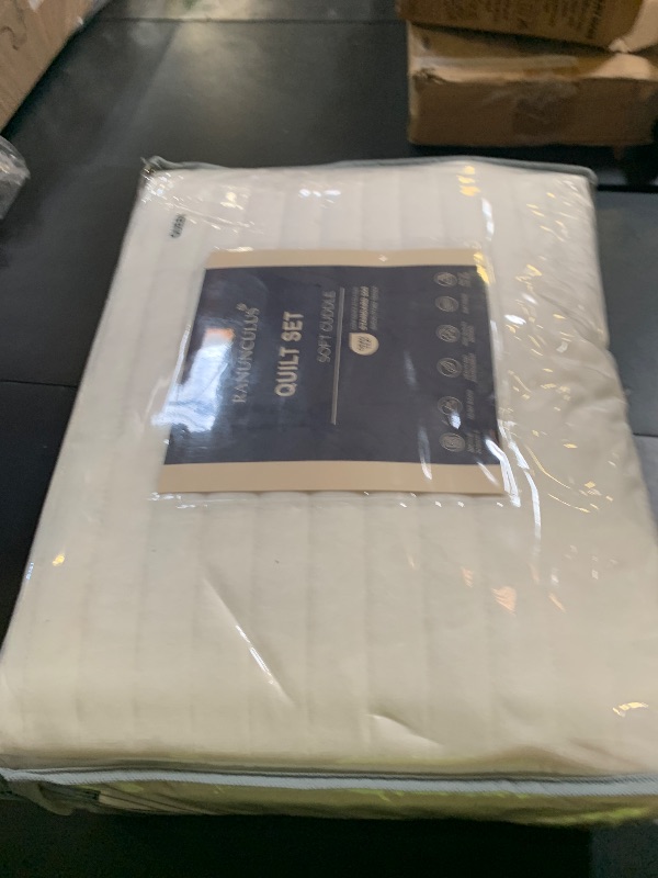 Photo 1 of Ranunculus Velvet Quilt Set Queen Size, Soft Quilted Bedding Set, 2 Matching Pillow Shams, Lightweight Bed Cover Luxury Quilted Bedspread Coverlet Blanket for All Seasons (Ivory Cream, Queen)
