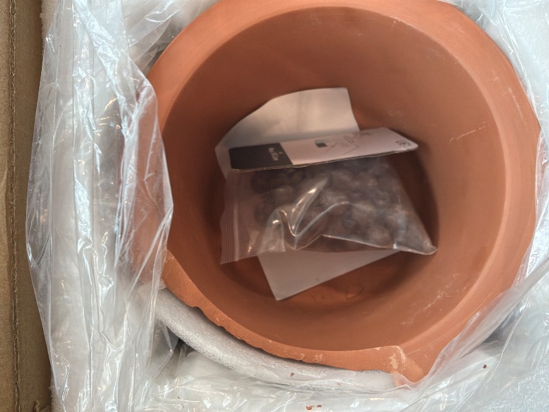 Photo 1 of [Terracotta Broken on Edge] Phoenix Vine 6 Inch Self Watering Plants Pot, Design Terracotta Pot for Plants, Indoor Cylinder Terra Cotta Planter with Glass Vase, Set of 1, 51-A-F-1
