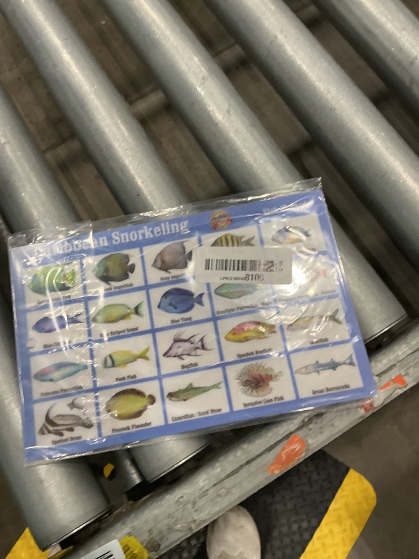 Photo 1 of 101SNORKEL Caribbean Snorkeling Fish and Creature ID Card