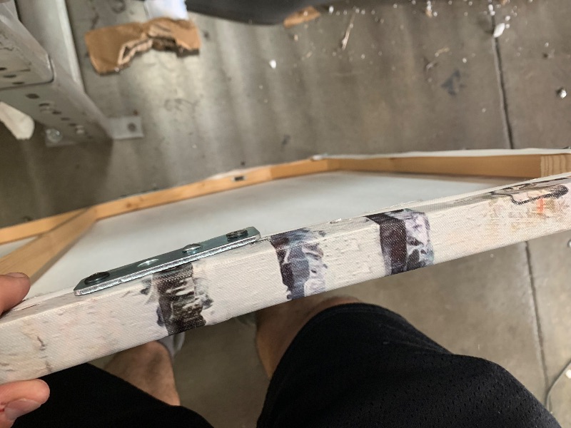 View 2 of (dented) 30" x 59" Canvas