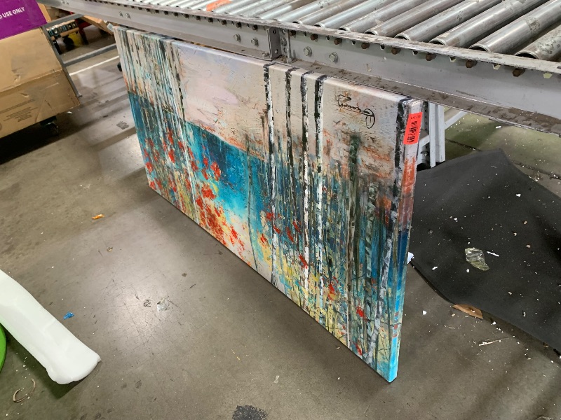 View 3 of (dented) 30" x 59" Canvas