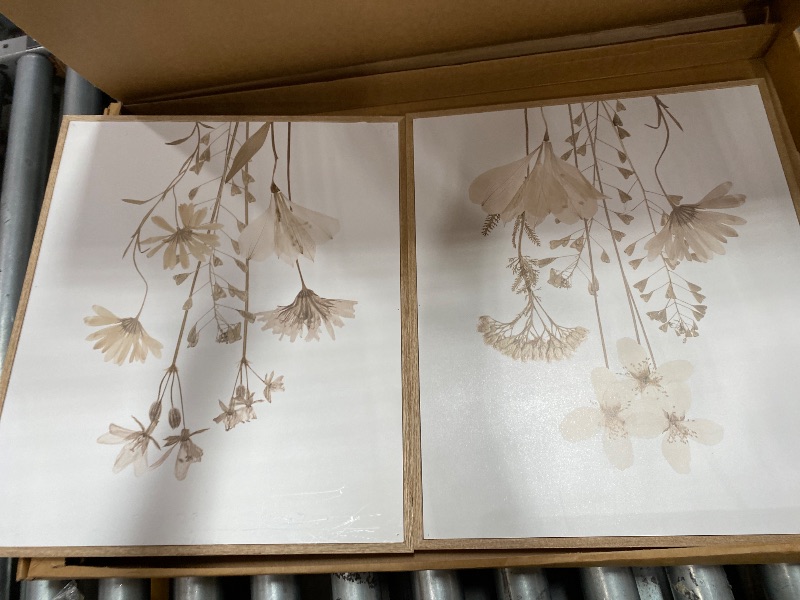 Photo 1 of ***RETAIL ORIGINAL PRICE $30**** Beige Floral Wall Art Set, 2 Piece, 20 x 30 in