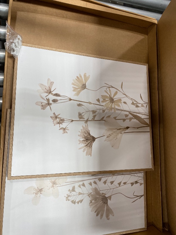Photo 1 of ***RETAIL ORIGINAL PRICE $30**** Beige Floral Wall Art Set, 2 Piece, 20 x 30 in